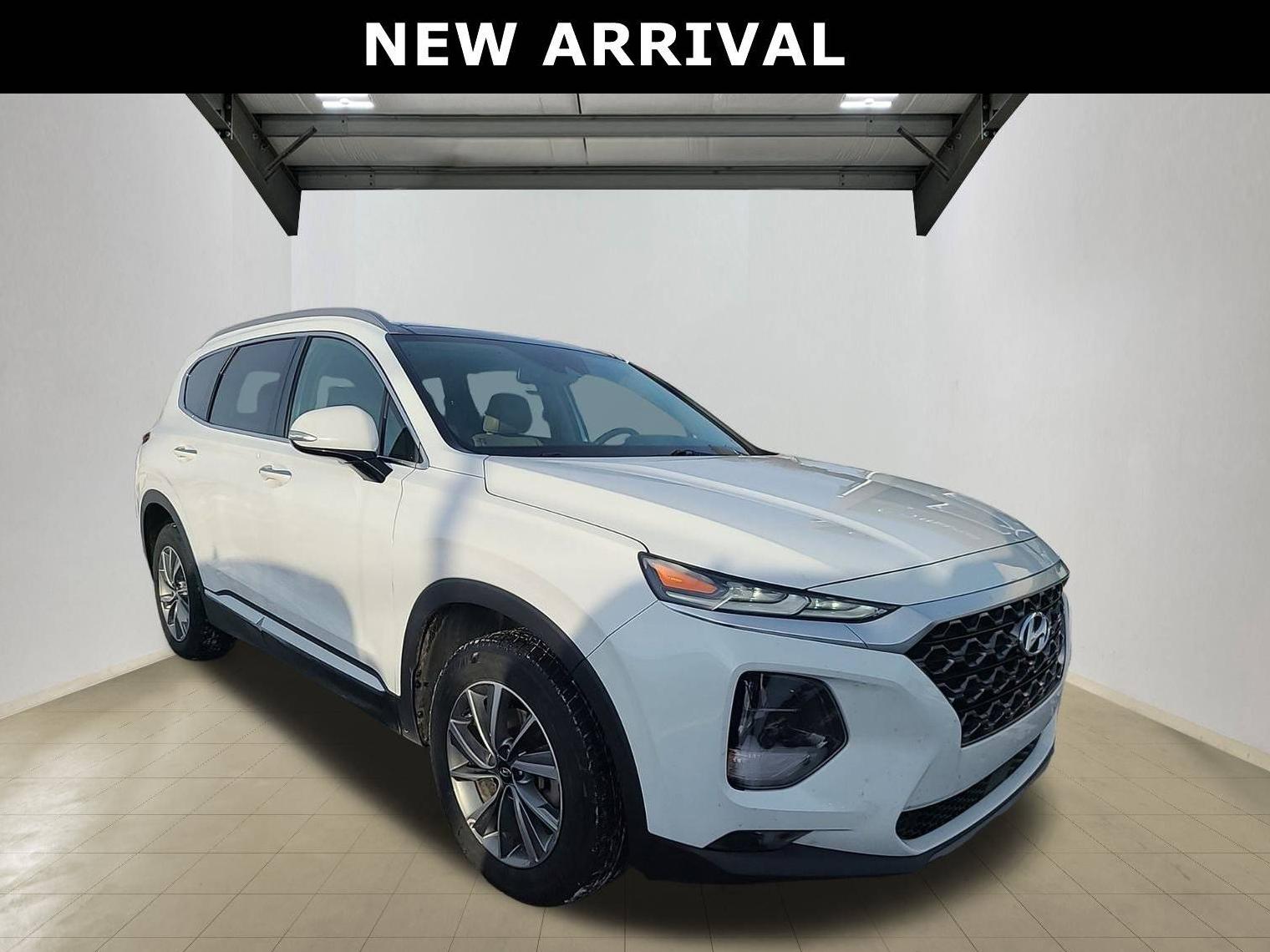 HYUNDAI SANTA FE 2019 5NMS5CAD0KH041633 image